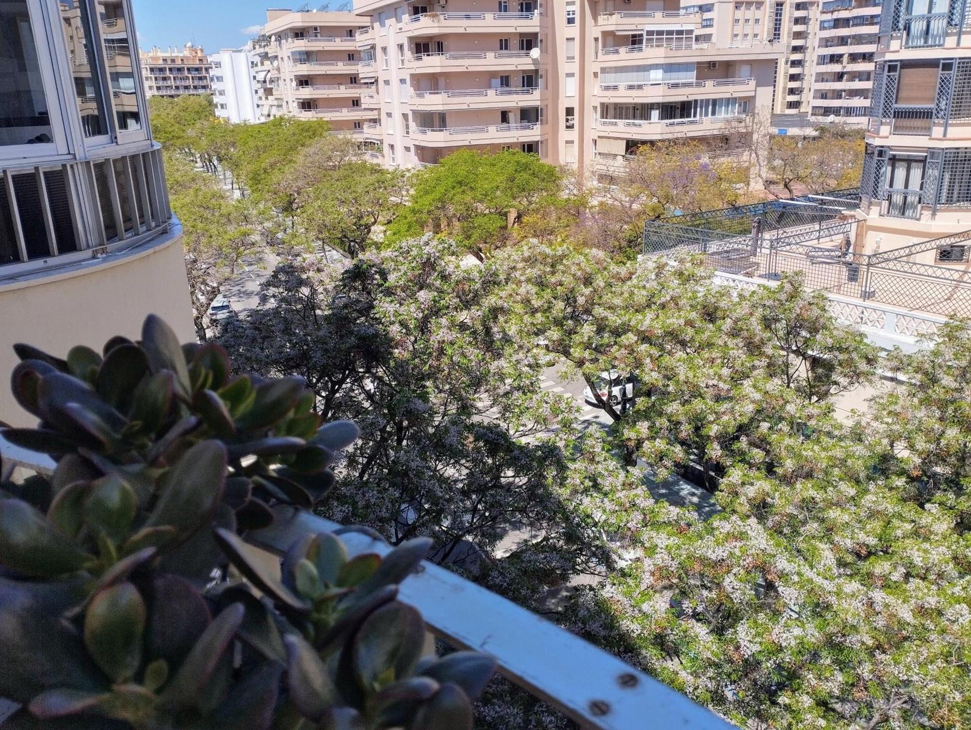 Centro Marbella